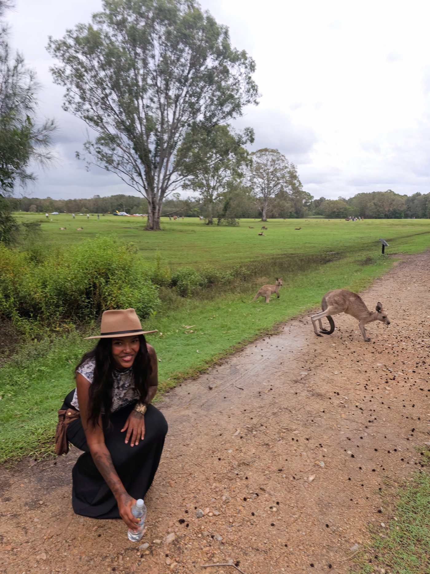 Känguru Australien