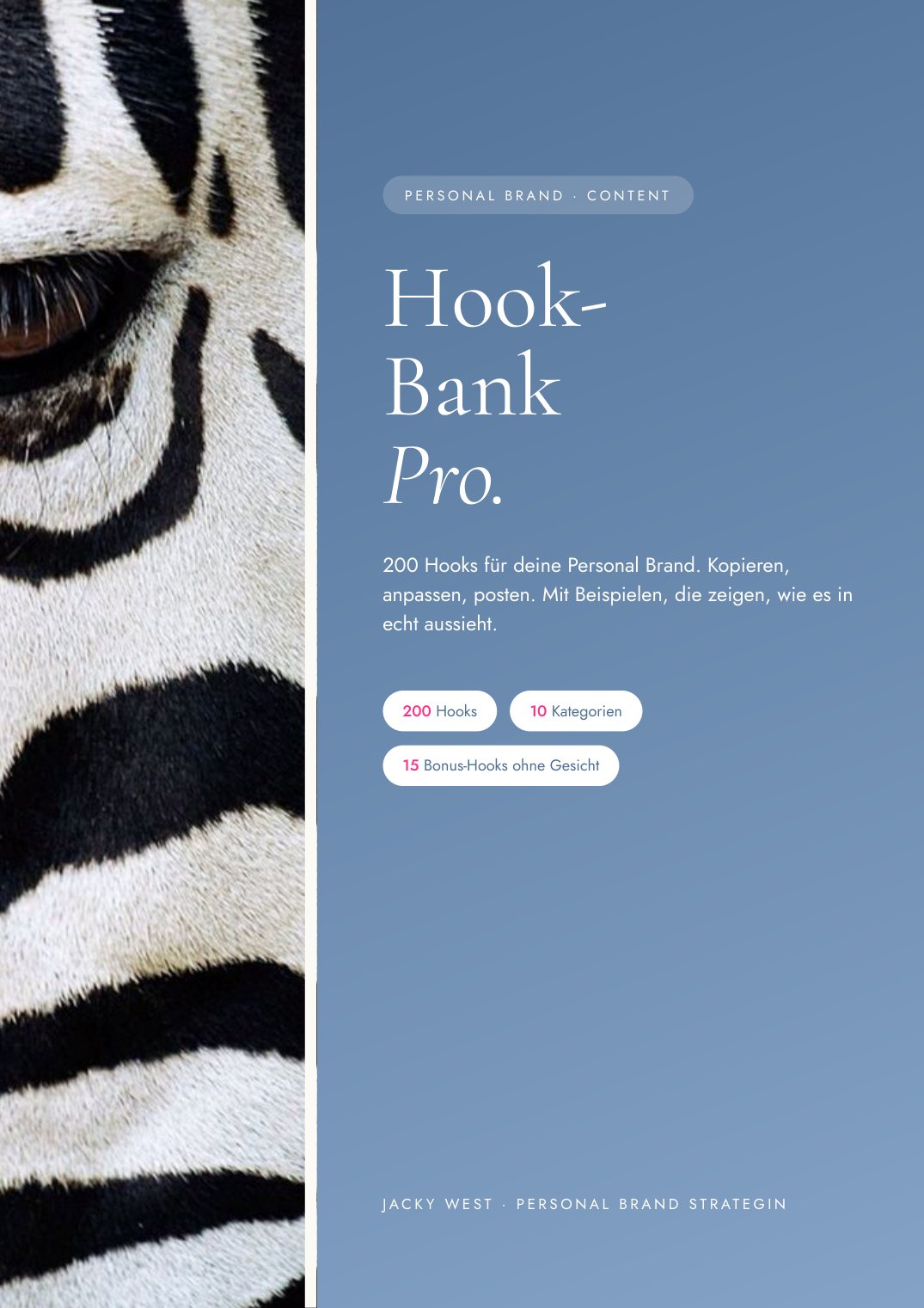 Hook-Bank Pro
