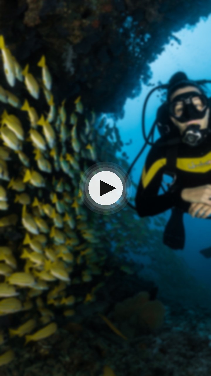 Reel 3